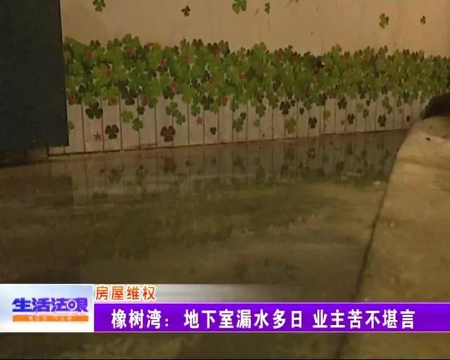 淄(zī)博地(dì)下室堵漏