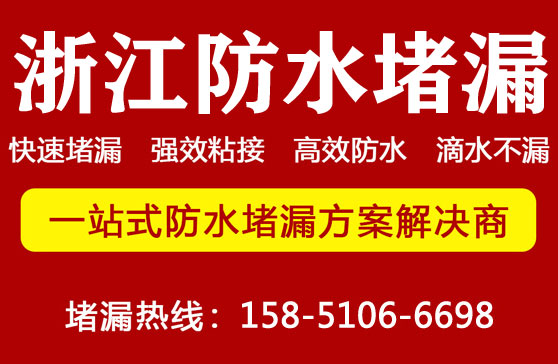 浙江堵漏公（gōng）司