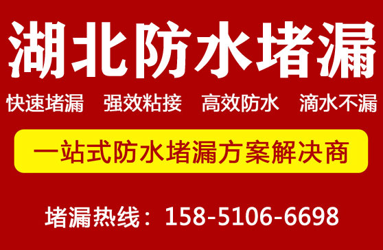 湖(hú)北堵漏公司