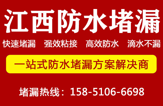 江西堵漏公(gōng)司