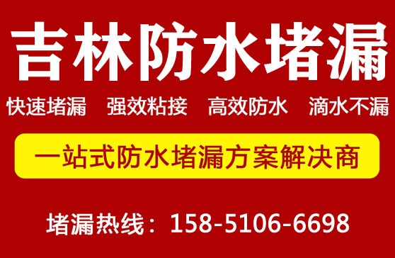 吉林(lín)堵漏公司