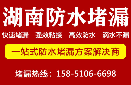 湖(hú)南堵漏公司