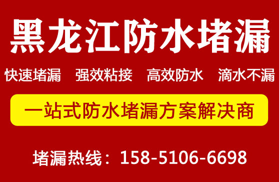 哈（hā）爾濱堵漏公司